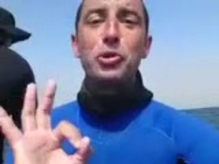 Meet The Great White Shark, DDay