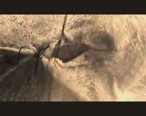 Sujet DLA les parents terribles