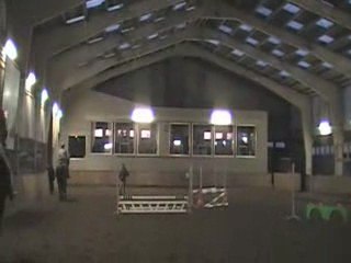 Diego cheval 005