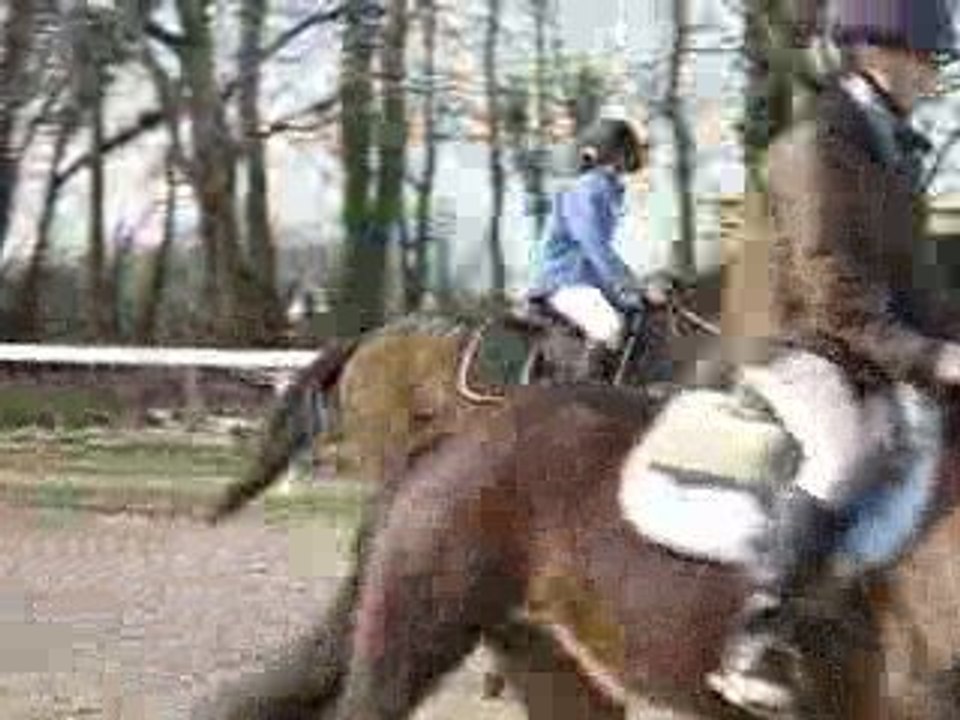 Ucpa 7 mars 2009 009