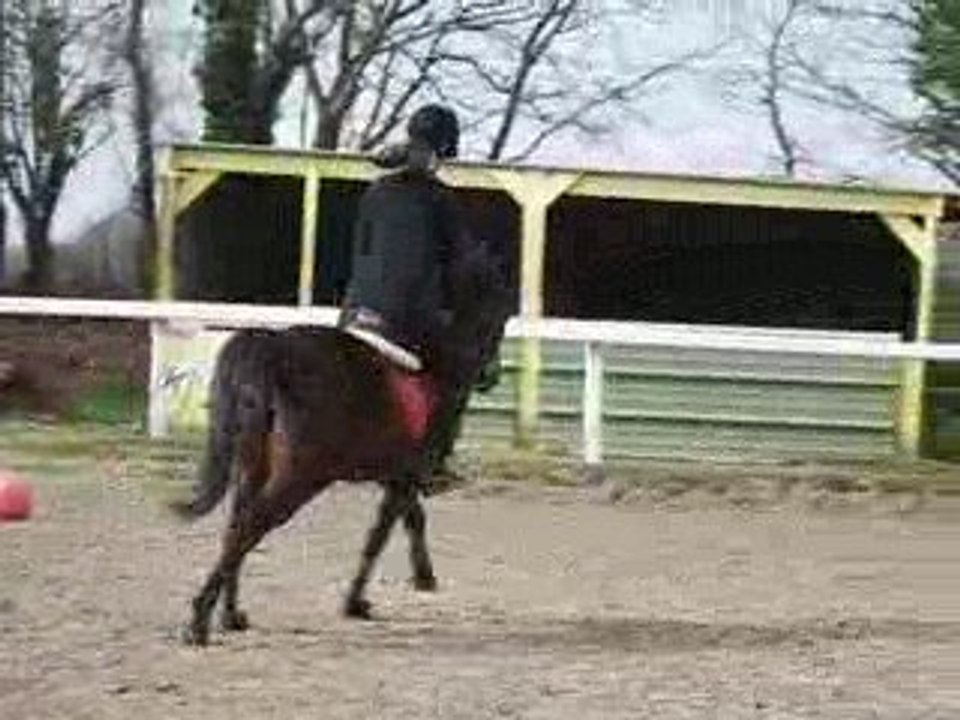 Ucpa 7 mars 2009 008