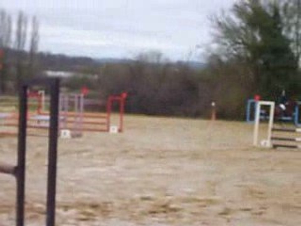 Omaperle fleuriers concours 80cm