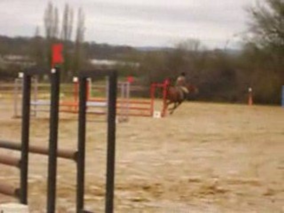 Girl fleuriers concours 80cm