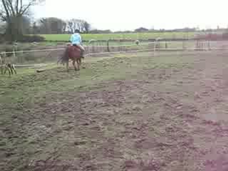 xxx idole obstacle xxx keralec xxx