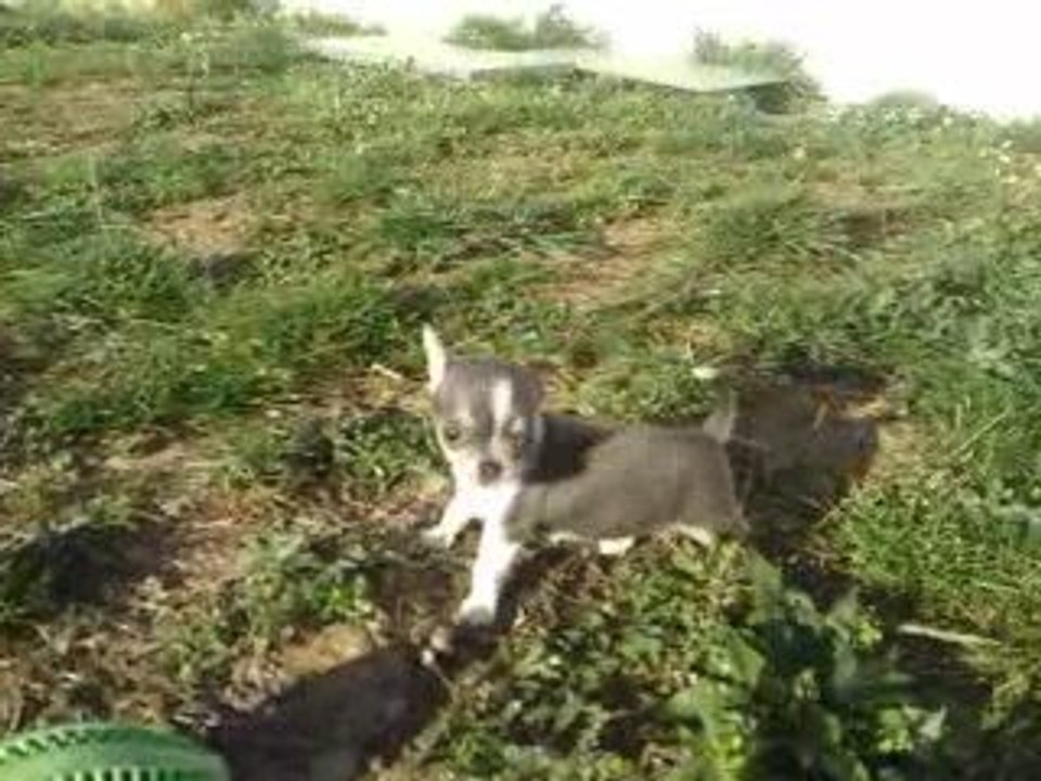 Eiven découvre le jardin.
