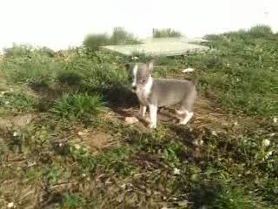 Erwan dans le jardin