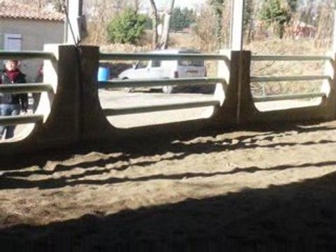 Concours dressage avec paillette