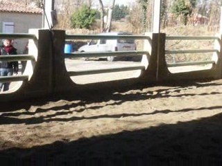 Concours dressage avec paillette