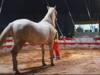 cirque Zavata numéro comique