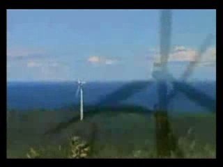 le chat qui fume des éoliennes