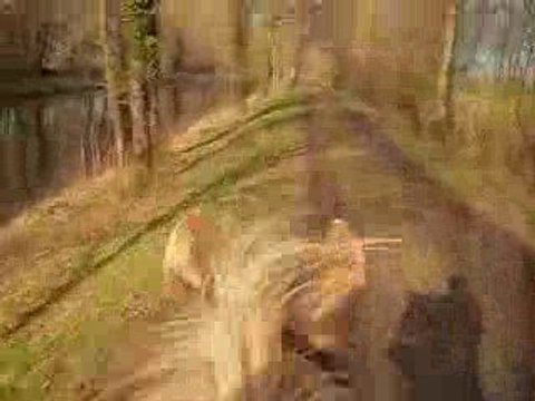 Pilou trot retour autre canal