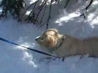 Diablo snow boot camp