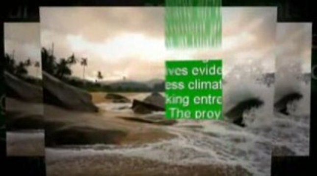 Government Grants for Women