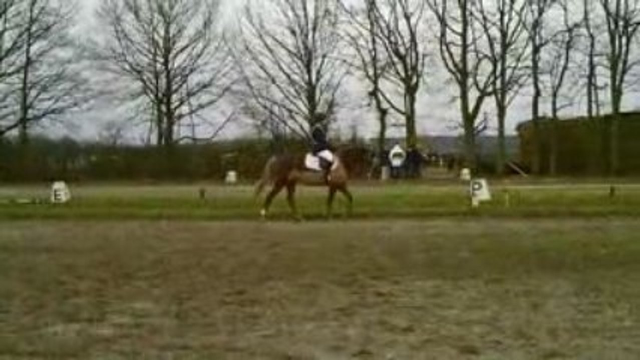 CLIP0031