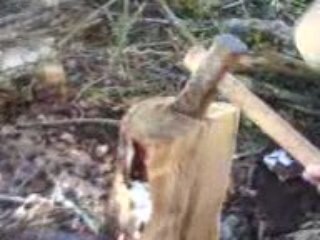 Maw ki coupe du bois