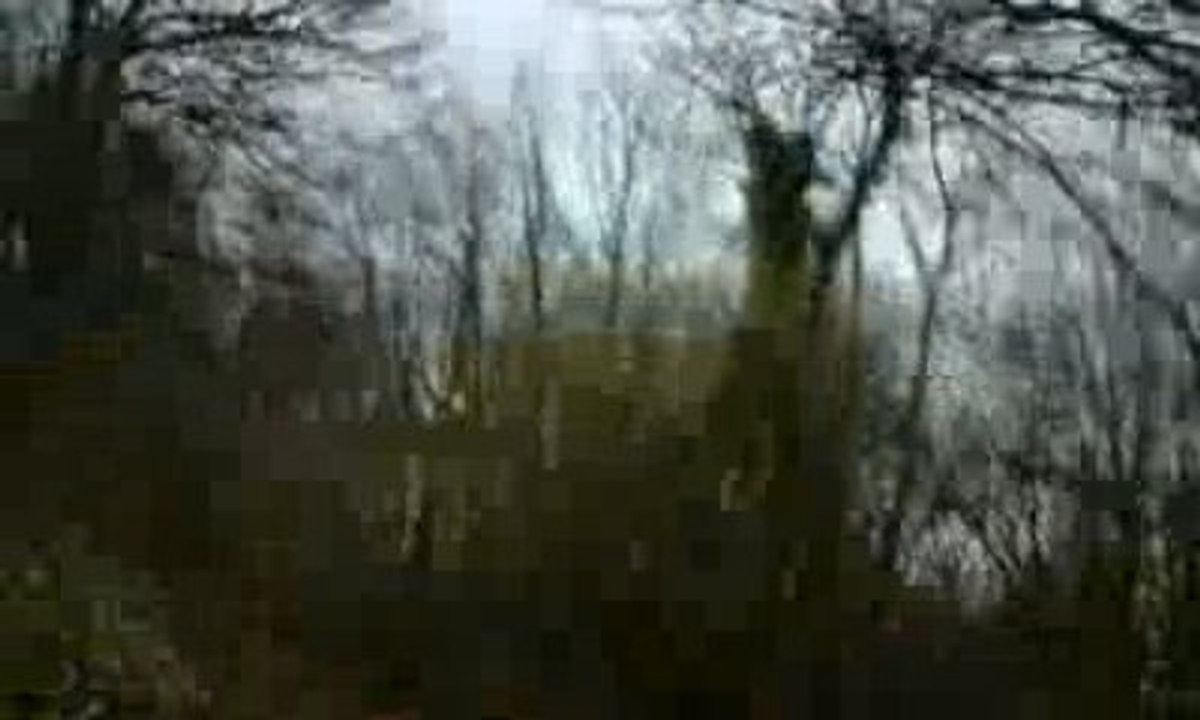 terrain soing cam embarquée sur ltz400