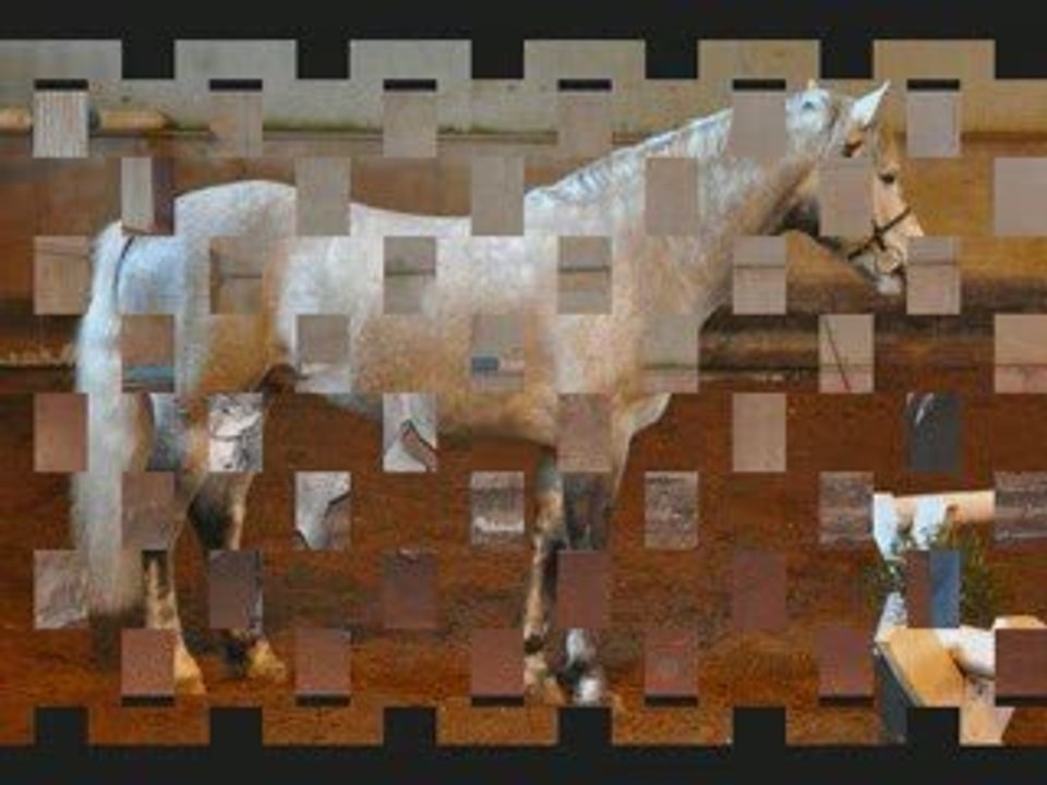 Punch du Mesnil Le Pin Mars 2009