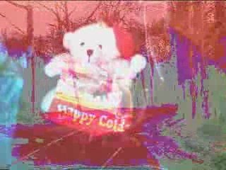 La foret hanté des peluches