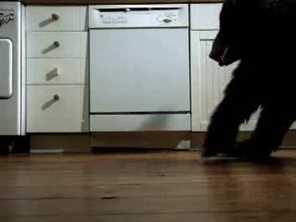 BEAR spells R*E*L*I*E*F