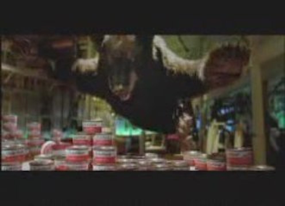 Bear Heist