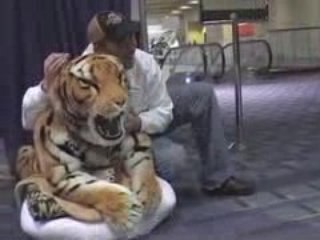 Trained Performing Tiger appears at the DC Auto Show