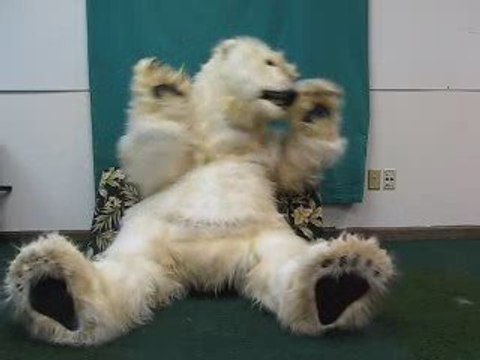 Animatronic Polar Bear facial features DEMO