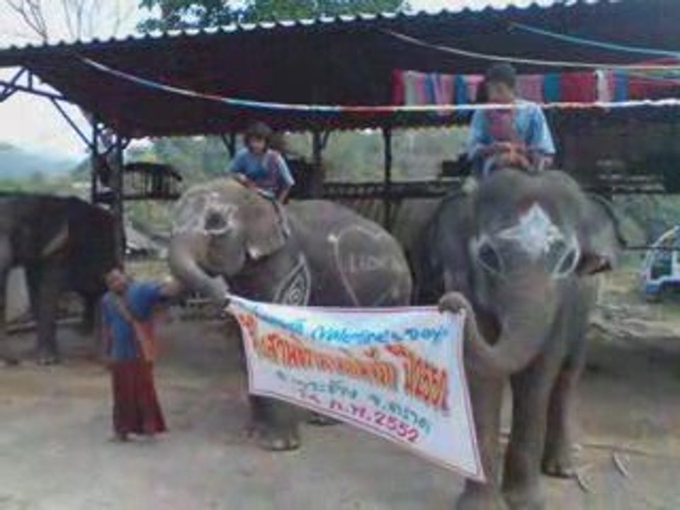 THAILAND KOH CHANG TEIL 4