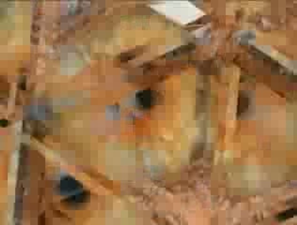 Rihanna - Cover Girl Commercial 2009 NEW SPOT