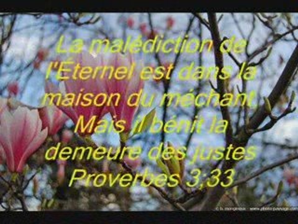 Salomon proverbes bibliques
