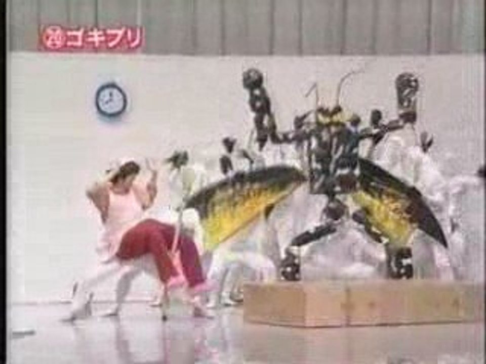 72回20番 ゴキブリ