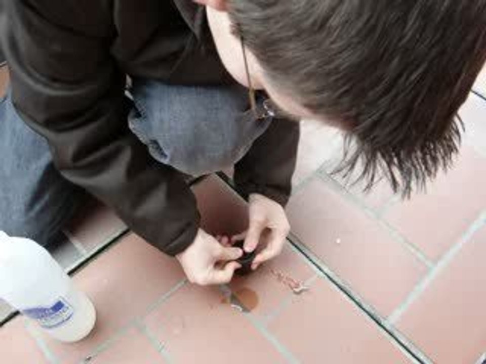 Experiment 2. Versuch