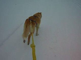 2009 03 09 001 ski Lachat 015