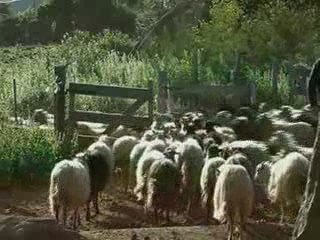 Fabrication du fromage