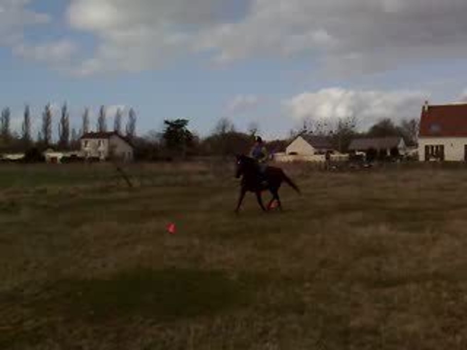 Quatch sandra slalom