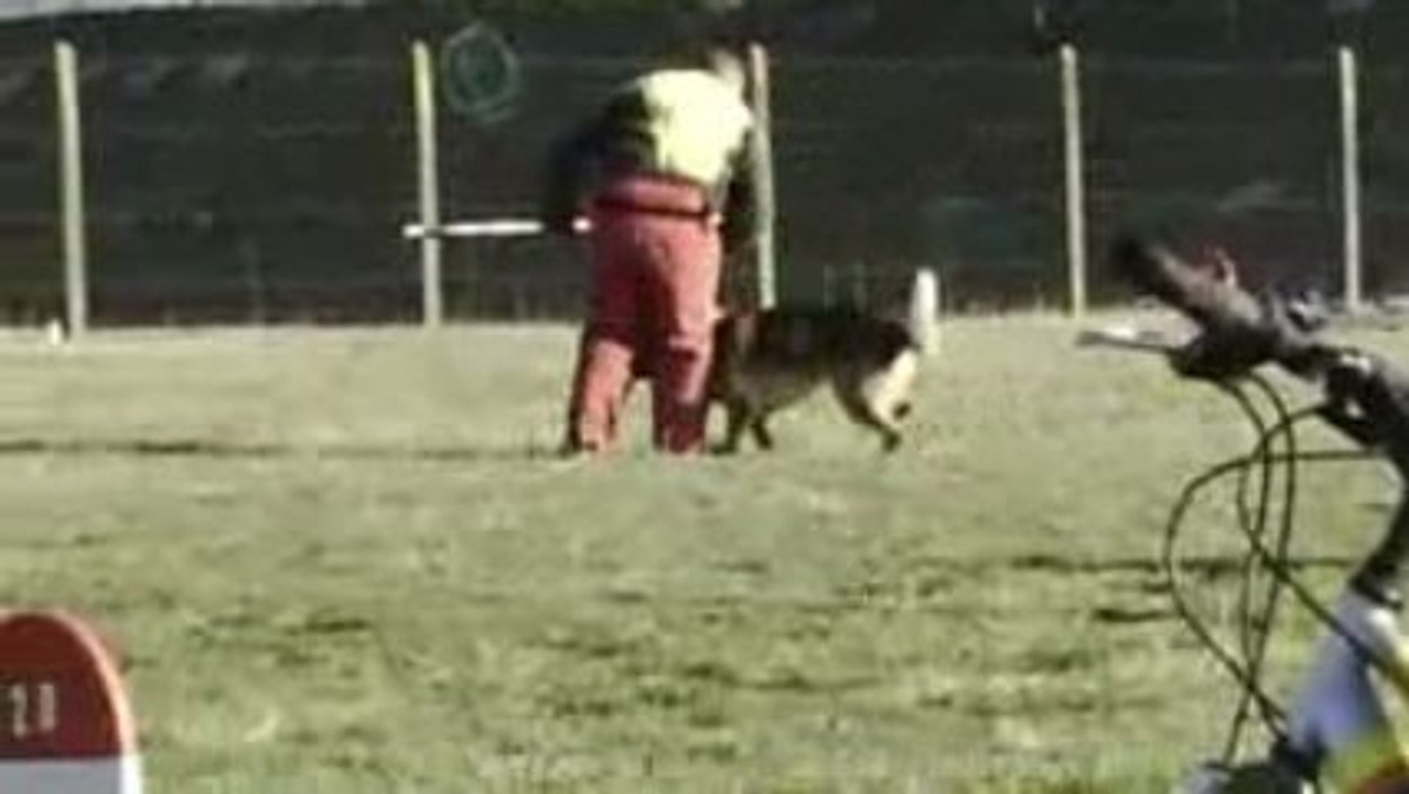 CLIP0006 (2)