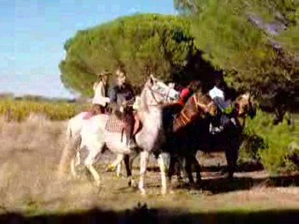 coup de tete