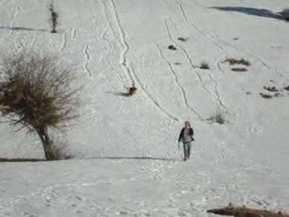 4L trophy, descente vers Timerzif