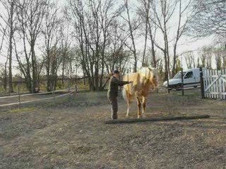 Wakan fevrier 09