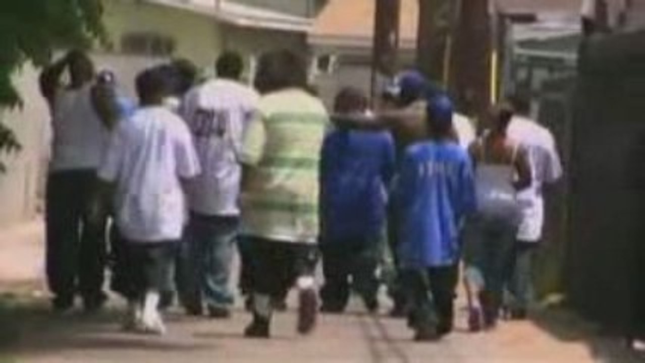 Crips and Bloods  Made In America