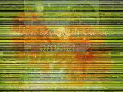 Твоите Деца