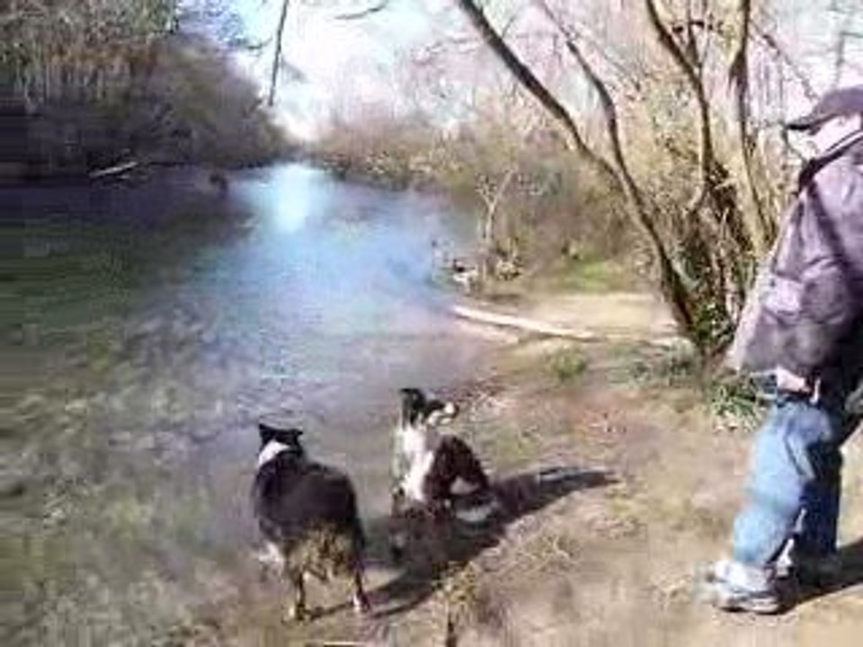 Boogie et Doha à la Sorgue / 2 (Mars 2009)