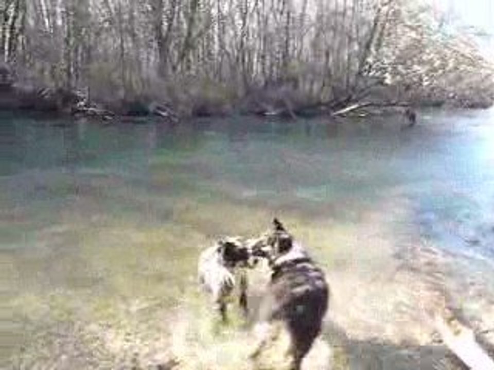 Boogie et Doha à la Sorgue / 3 (Mars 2009)