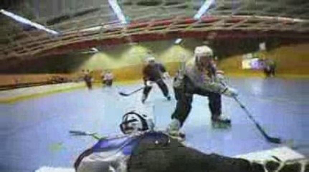 Roller Hockey : Les Hawks d'Angers