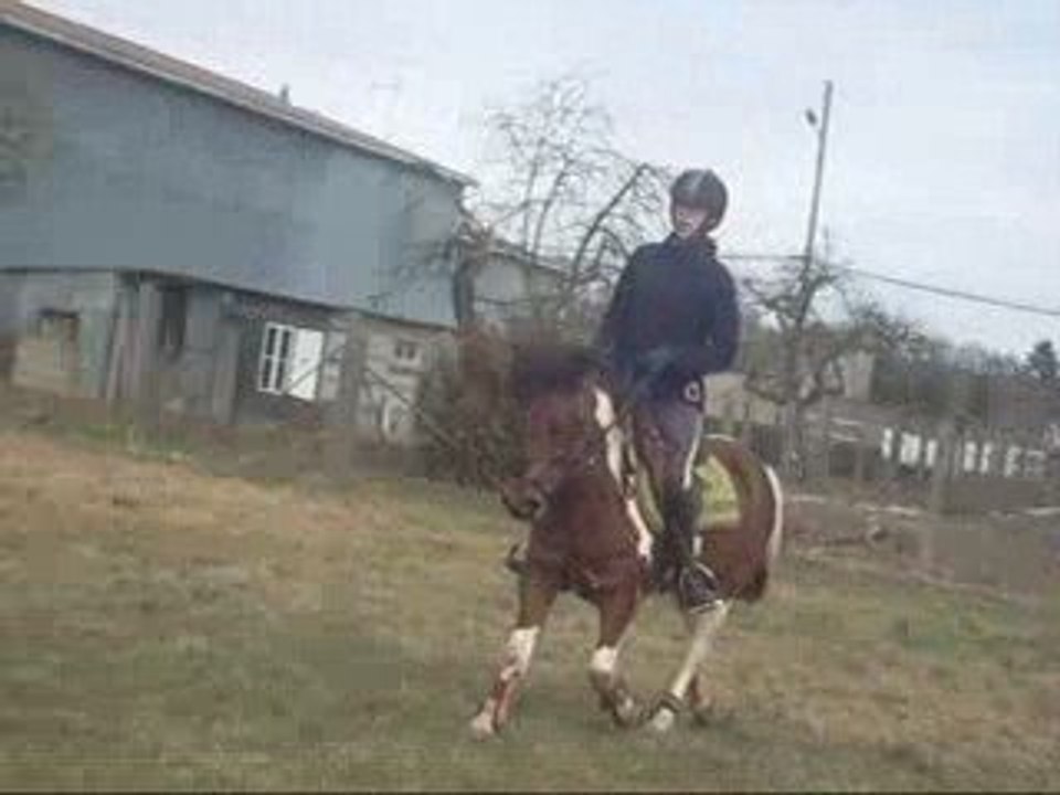 7-03-09 Trot Part 2