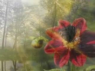 Не изневерявай на себе си