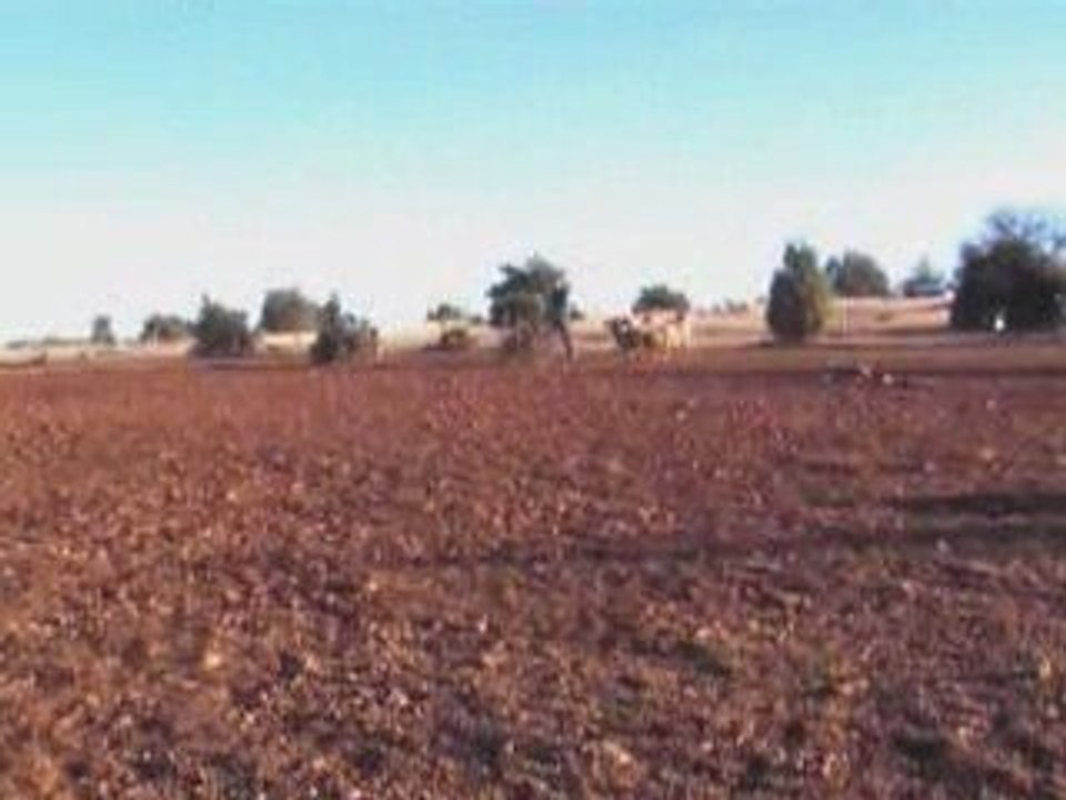 Journée troupeau (02) (02)