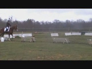 1er concours de Qalif ... Ou pas ^^