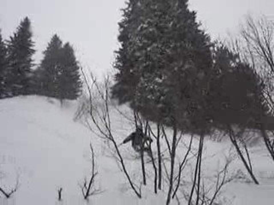 MOV04333