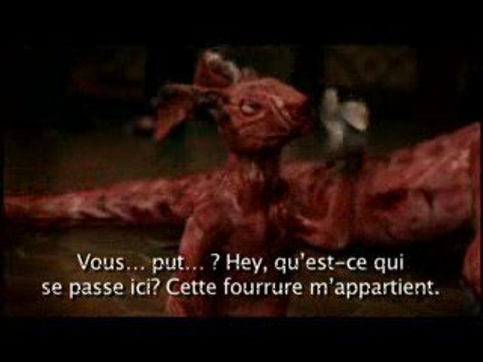 Fourrure et mode