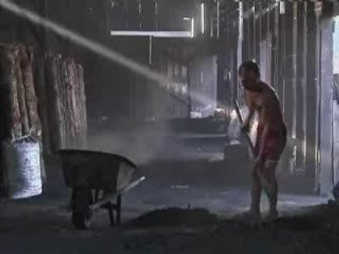 Mongrove Charcoal Prized in Japan